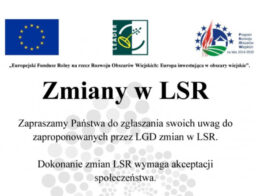 Zapraszamy do zgłaszania uwag do LSR